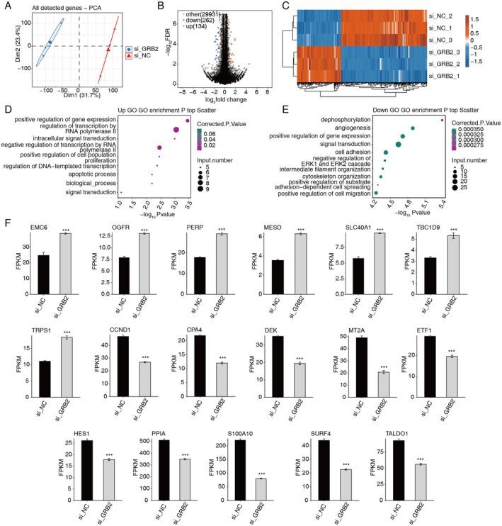 https://cdn.ncbi.nlm.nih.gov/pmc/blobs/5730/12086363/76898d099aa0/CAM4-14-e70905-g003.jpg