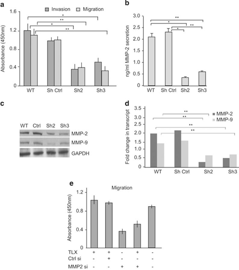 https://cdn.ncbi.nlm.nih.gov/pmc/blobs/5733/4237266/b2198609d973/cddis2014449f5.jpg