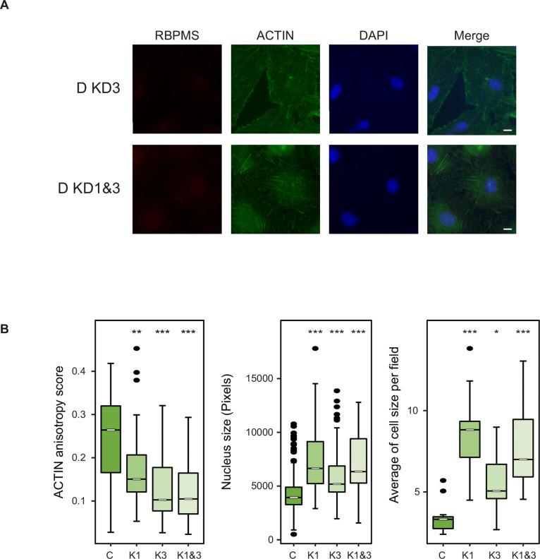 https://cdn.ncbi.nlm.nih.gov/pmc/blobs/5736/6613909/3b3df5a12bd8/elife-46327-fig5-figsupp2.jpg
