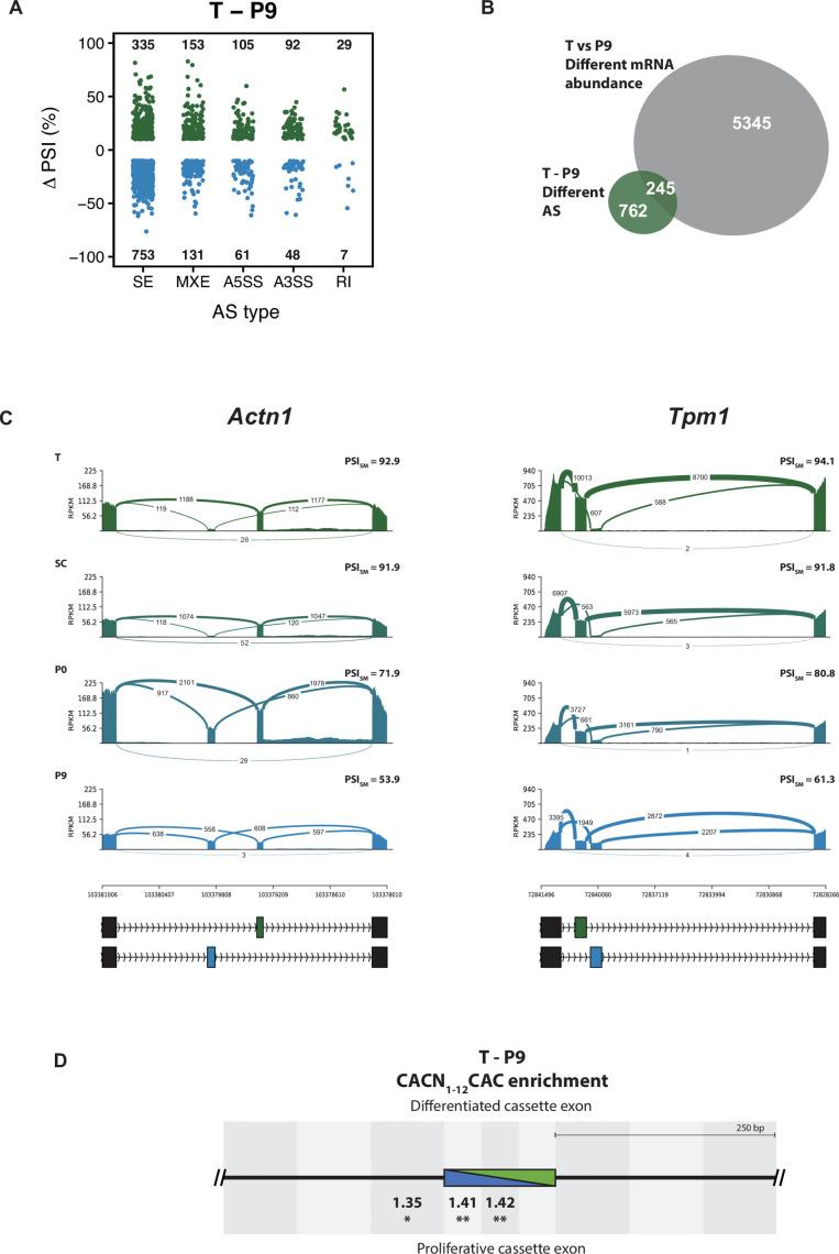 https://cdn.ncbi.nlm.nih.gov/pmc/blobs/5736/6613909/4a44ee227752/elife-46327-fig1-figsupp3.jpg