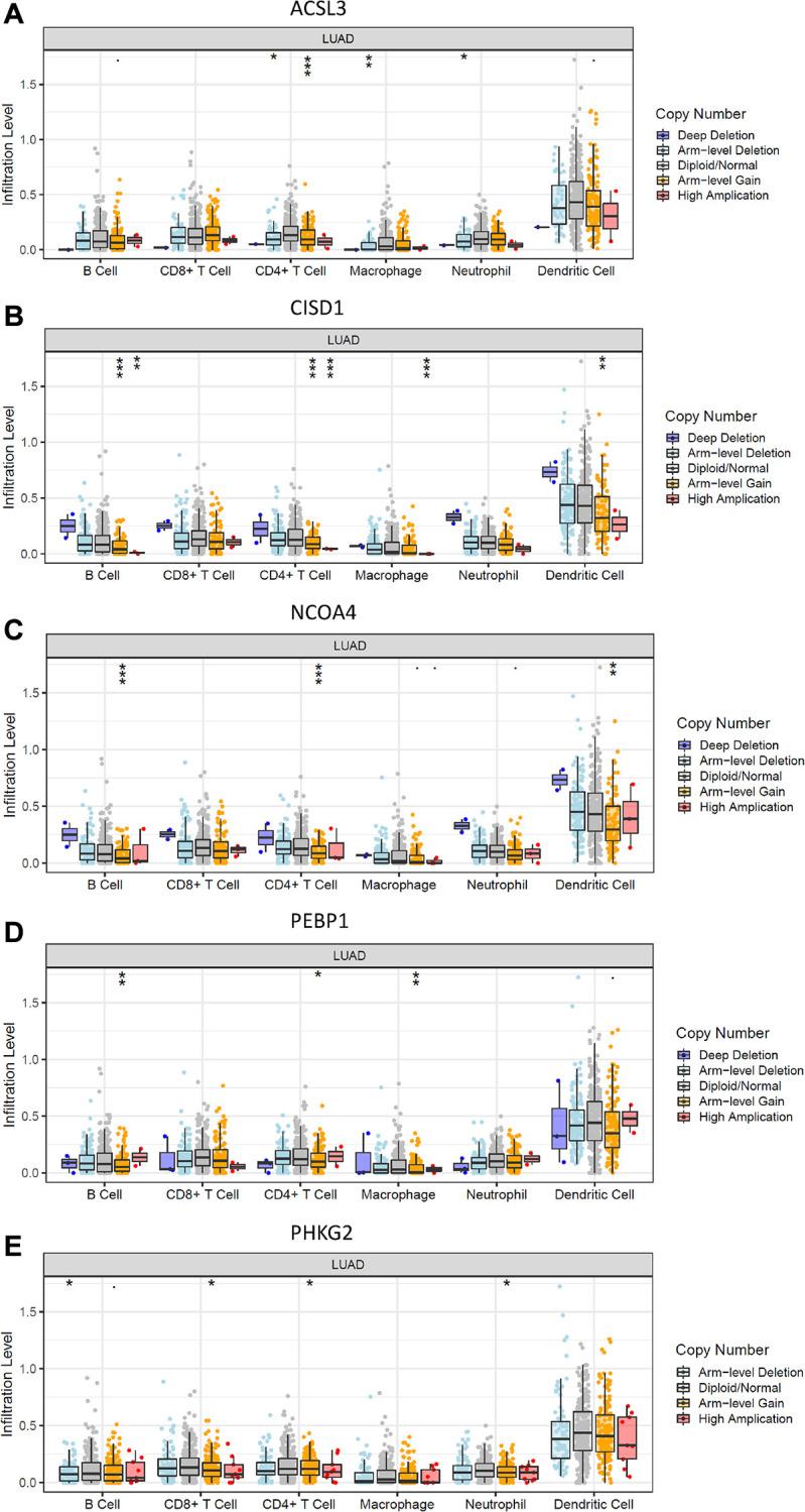 https://cdn.ncbi.nlm.nih.gov/pmc/blobs/5737/8266333/4d151215232e/aging-13-203140-g006.jpg
