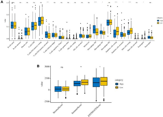 https://cdn.ncbi.nlm.nih.gov/pmc/blobs/5737/8266333/e7c65d2c5318/aging-13-203140-g005.jpg