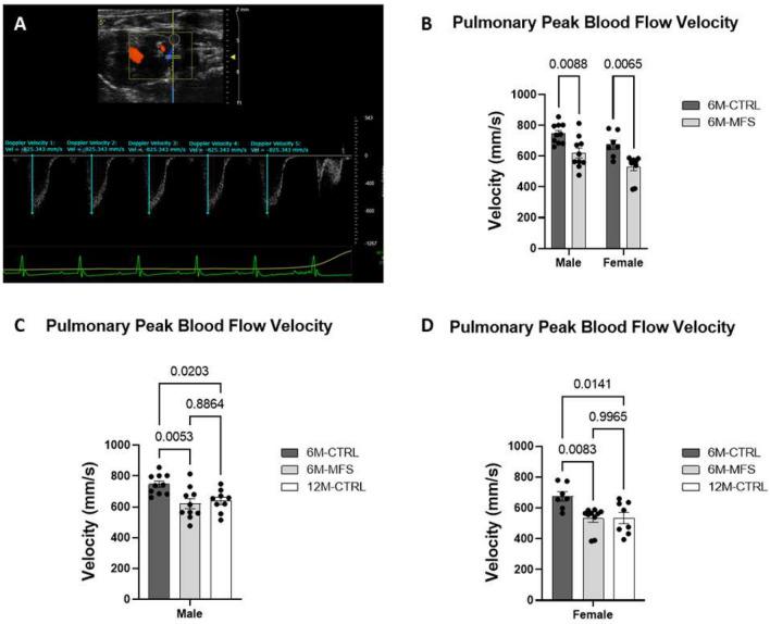 https://cdn.ncbi.nlm.nih.gov/pmc/blobs/5738/10924961/b2ae34218792/41598_2024_56438_Fig5_HTML.jpg