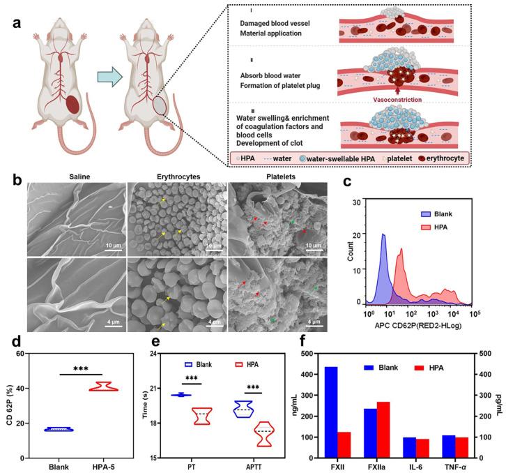 https://cdn.ncbi.nlm.nih.gov/pmc/blobs/573b/10974503/94e38f935e04/polymers-16-00863-g006.jpg