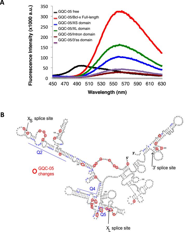 https://cdn.ncbi.nlm.nih.gov/pmc/blobs/573c/5778605/058691d1668a/gkx1122fig5.jpg