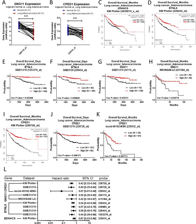 https://cdn.ncbi.nlm.nih.gov/pmc/blobs/573e/5739604/875438d2ff6f/oncotarget-08-104831-g008.jpg