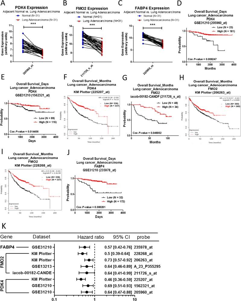 https://cdn.ncbi.nlm.nih.gov/pmc/blobs/573e/5739604/8992cd2a2045/oncotarget-08-104831-g004.jpg
