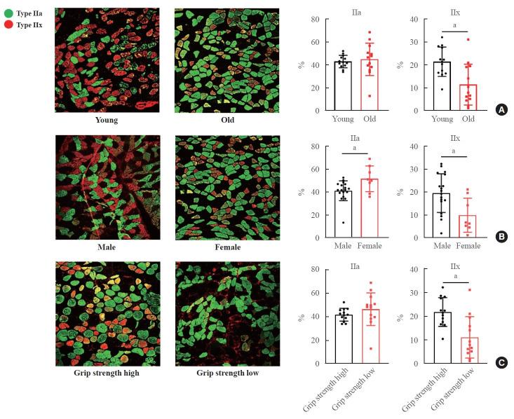 https://cdn.ncbi.nlm.nih.gov/pmc/blobs/573f/11220211/aaf875f871b5/enm-2024-1935f3.jpg