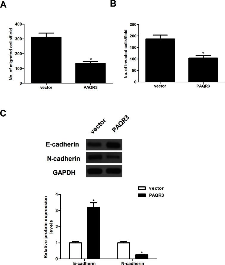 https://cdn.ncbi.nlm.nih.gov/pmc/blobs/5740/7841230/7344cf7b7176/OR-25-663-g003.jpg