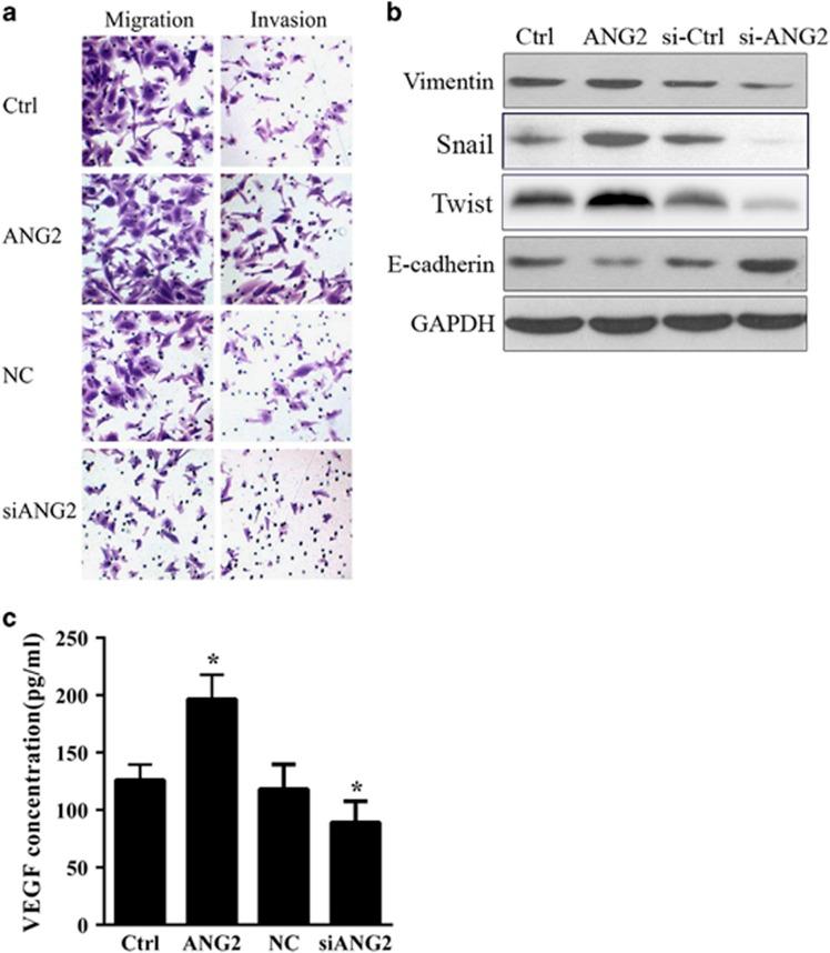 https://cdn.ncbi.nlm.nih.gov/pmc/blobs/5741/5033983/7c561737fa96/cgt201630f3.jpg