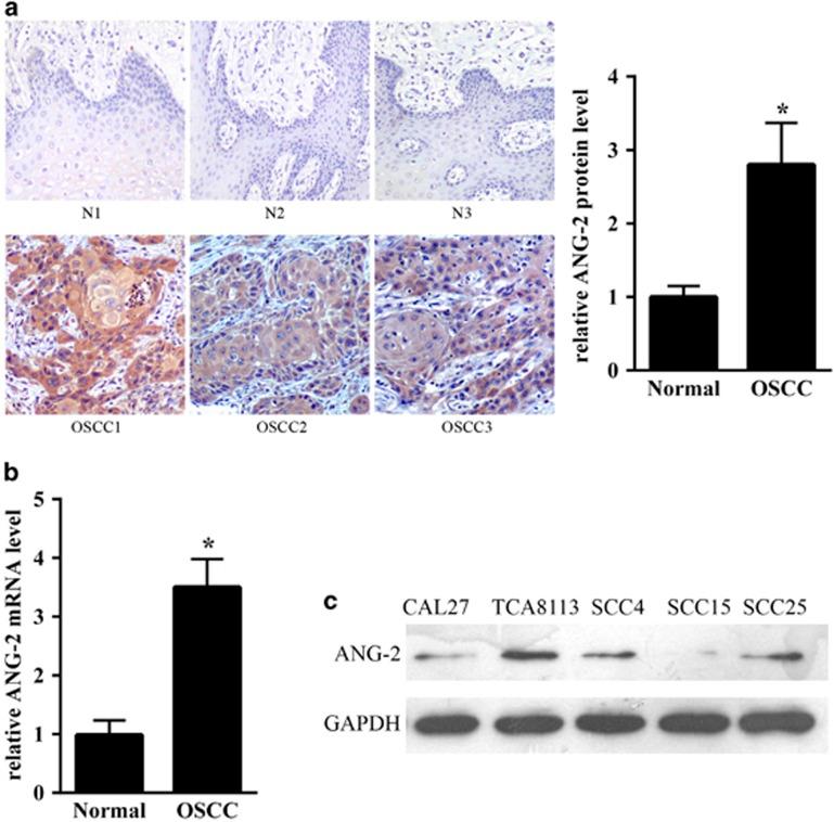 https://cdn.ncbi.nlm.nih.gov/pmc/blobs/5741/5033983/88cb34c70364/cgt201630f1.jpg