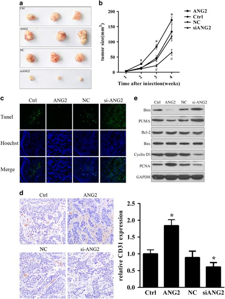 https://cdn.ncbi.nlm.nih.gov/pmc/blobs/5741/5033983/c516af42b25a/cgt201630f4.jpg