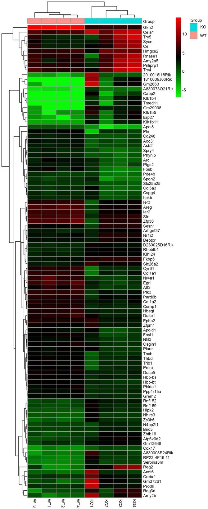 https://cdn.ncbi.nlm.nih.gov/pmc/blobs/5741/5779945/0c5eb095a591/MMR-16-06-8673-g00.jpg