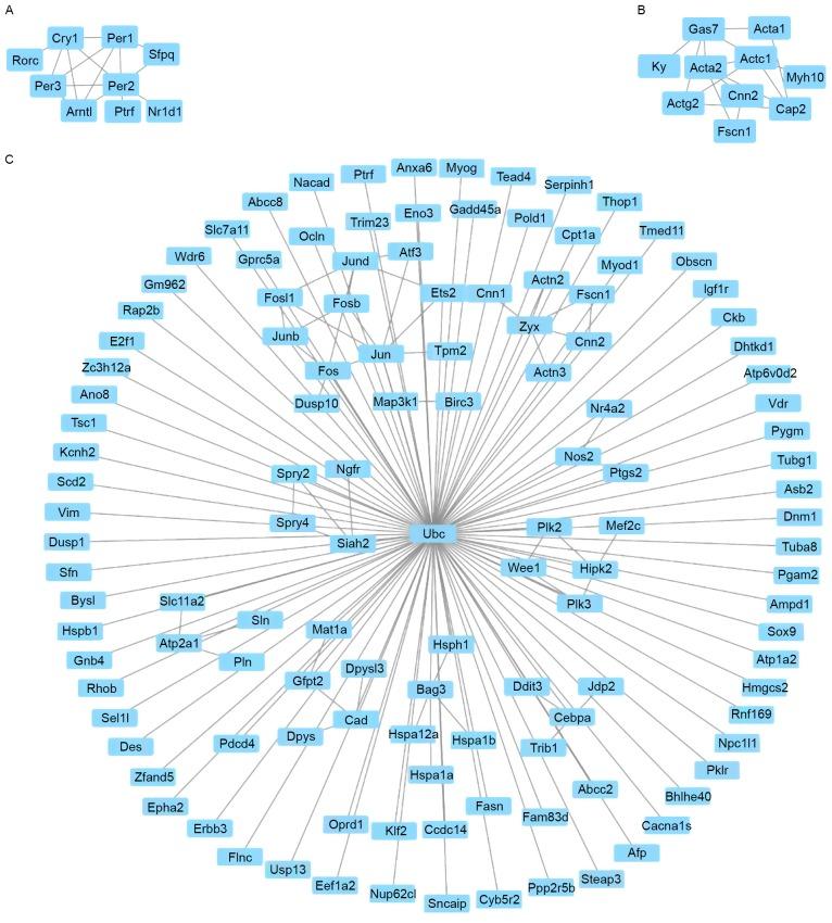 https://cdn.ncbi.nlm.nih.gov/pmc/blobs/5741/5779945/9b9a7eaa55c5/MMR-16-06-8673-g02.jpg