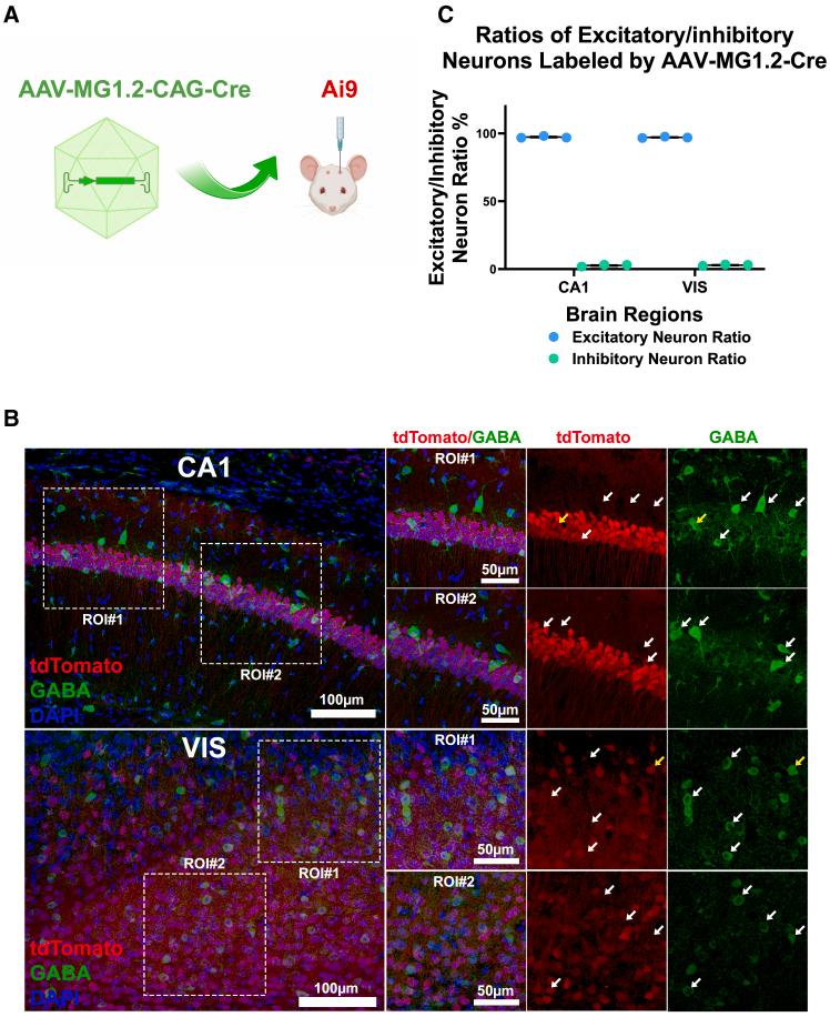 https://cdn.ncbi.nlm.nih.gov/pmc/blobs/5745/12272241/86b6544e837a/gr5.jpg