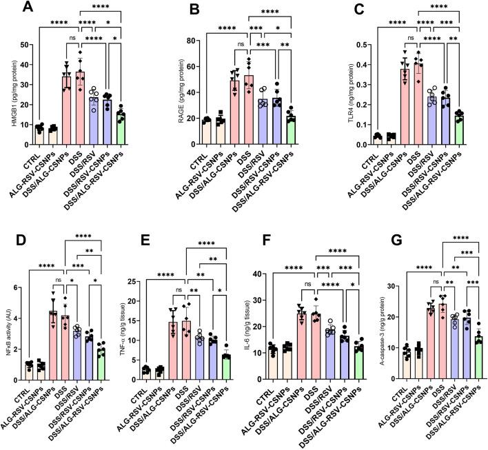https://cdn.ncbi.nlm.nih.gov/pmc/blobs/5747/12213710/95b50967d769/fphar-16-1546010-g009.jpg
