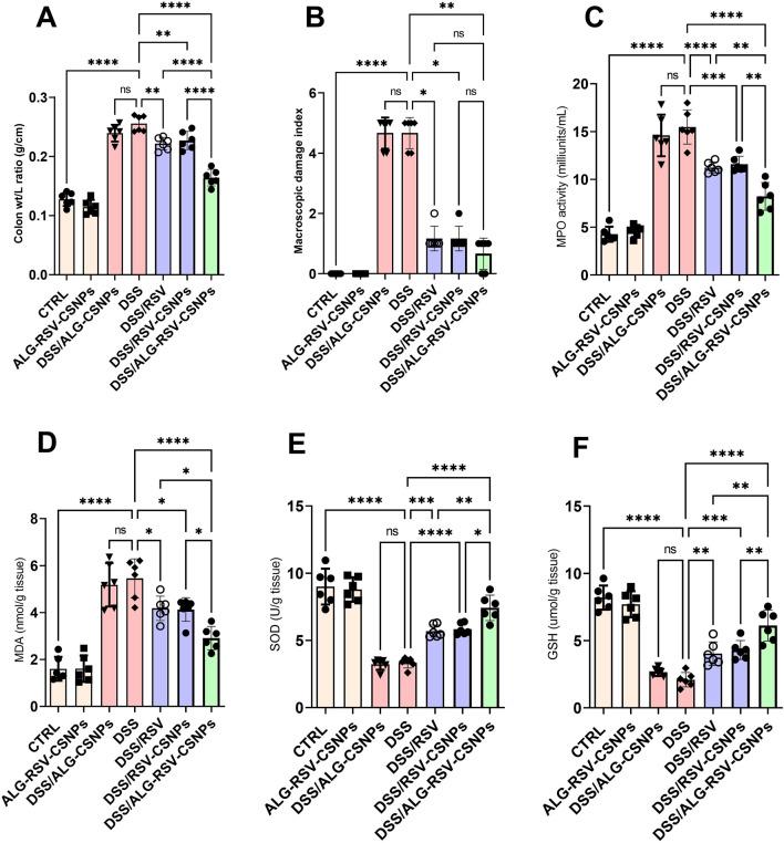 https://cdn.ncbi.nlm.nih.gov/pmc/blobs/5747/12213710/ca7141f6e3f0/fphar-16-1546010-g008.jpg