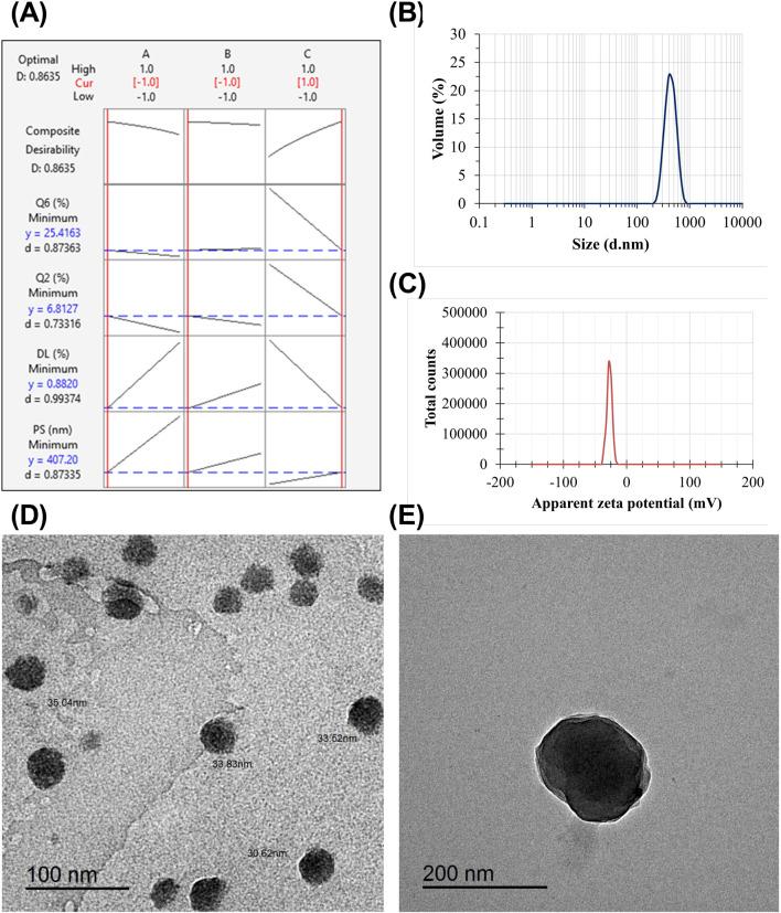 https://cdn.ncbi.nlm.nih.gov/pmc/blobs/5747/12213710/fe6900ace7ba/fphar-16-1546010-g004.jpg