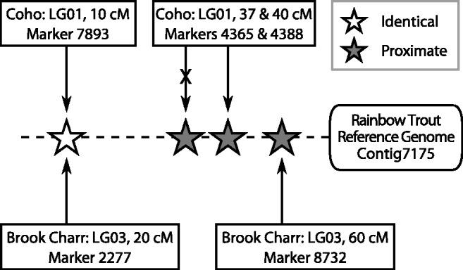 https://cdn.ncbi.nlm.nih.gov/pmc/blobs/5747/5381510/bb5bec2c4b45/evw262f1p.jpg