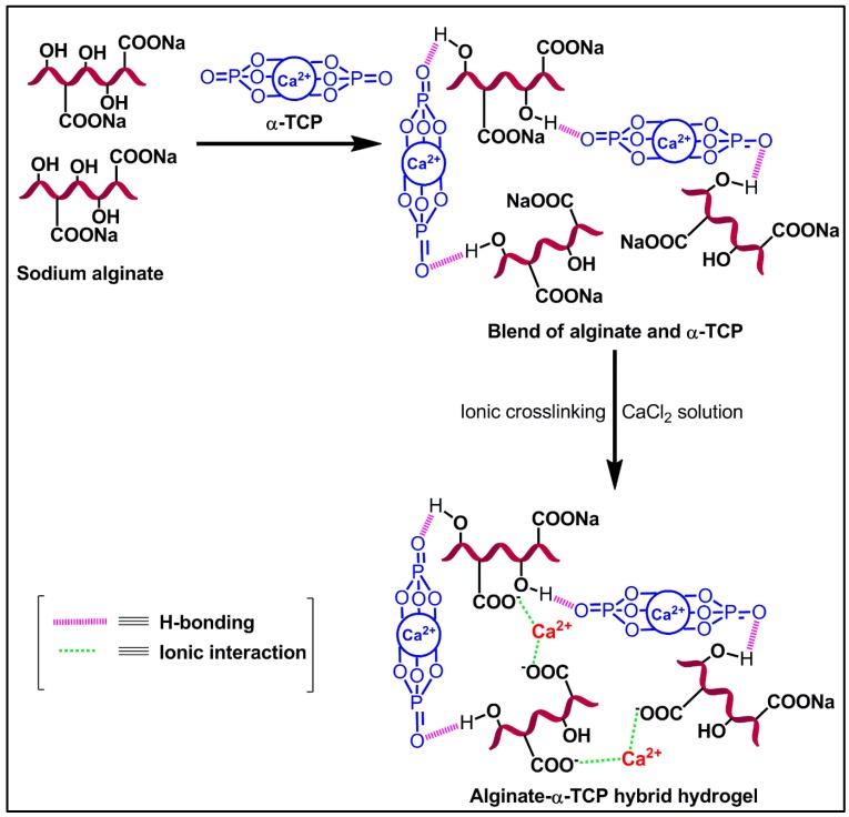 https://cdn.ncbi.nlm.nih.gov/pmc/blobs/5748/5707606/d12d67ce374a/nanomaterials-07-00389-g003.jpg