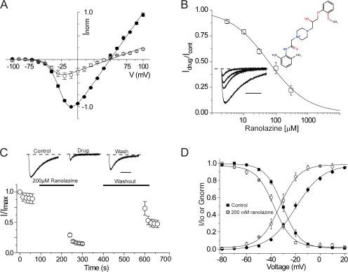 https://cdn.ncbi.nlm.nih.gov/pmc/blobs/5749/3362524/52541dbe1aa7/JGP_201210779_Fig5.jpg
