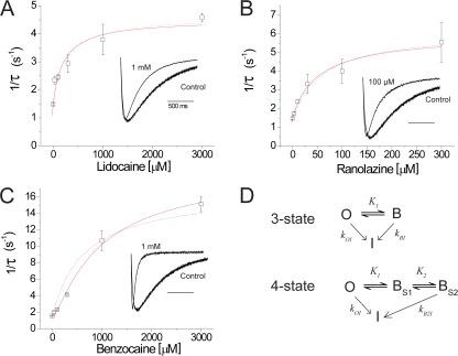 https://cdn.ncbi.nlm.nih.gov/pmc/blobs/5749/3362524/c526bb7acac1/JGP_201210779R_Fig6.jpg