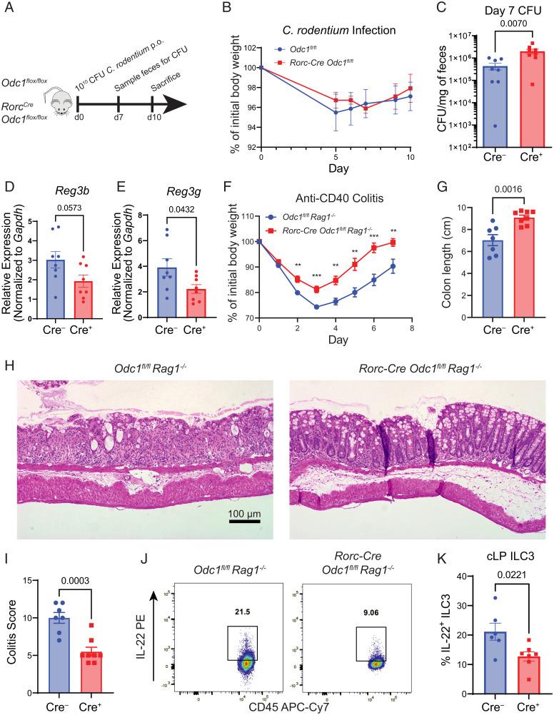 https://cdn.ncbi.nlm.nih.gov/pmc/blobs/5749/9659397/23c2b28bfa39/pnas.2214900119fig03.jpg