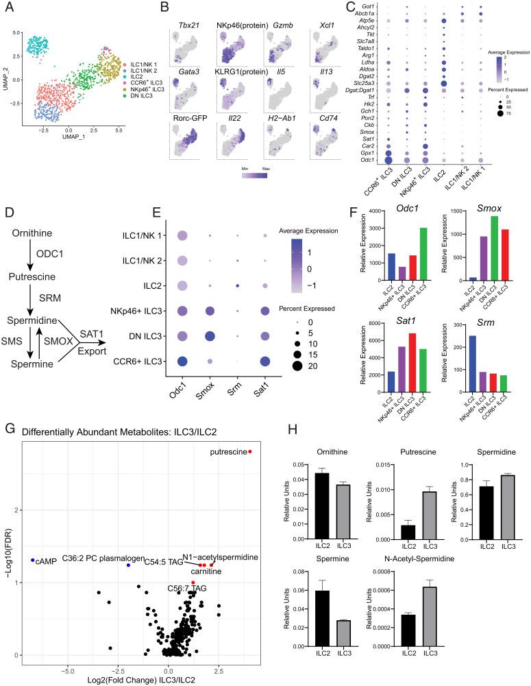 https://cdn.ncbi.nlm.nih.gov/pmc/blobs/5749/9659397/25ecd347b04e/pnas.2214900119fig01.jpg