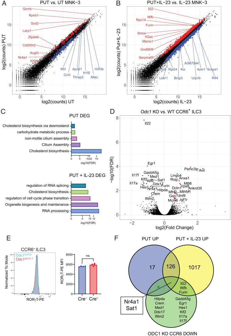 https://cdn.ncbi.nlm.nih.gov/pmc/blobs/5749/9659397/b55abded53c5/pnas.2214900119fig04.jpg