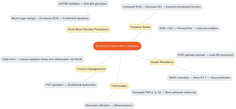 https://cdn.ncbi.nlm.nih.gov/pmc/blobs/574d/11906411/0ad84f18d75a/fmed-12-1509884-g001.jpg