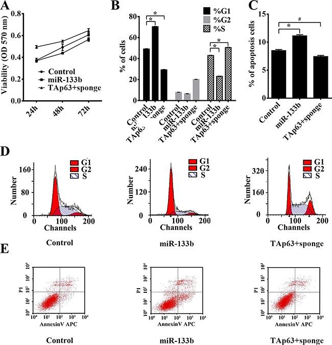 https://cdn.ncbi.nlm.nih.gov/pmc/blobs/574d/5349978/b498e24b5e08/oncotarget-07-87147-g003.jpg