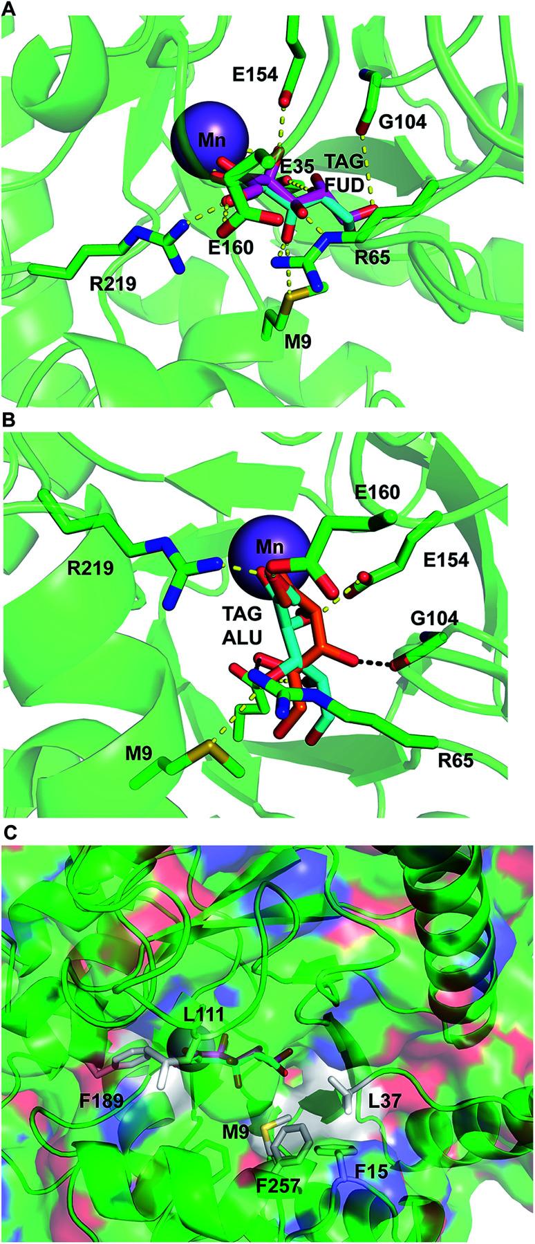 https://cdn.ncbi.nlm.nih.gov/pmc/blobs/574d/9059984/a98ffd1e4bc6/c8ra10029b-f6.jpg