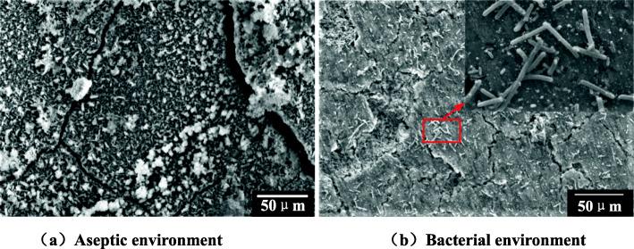 https://cdn.ncbi.nlm.nih.gov/pmc/blobs/574f/7796598/eaee620bfe87/12896_2020_664_Fig9_HTML.jpg