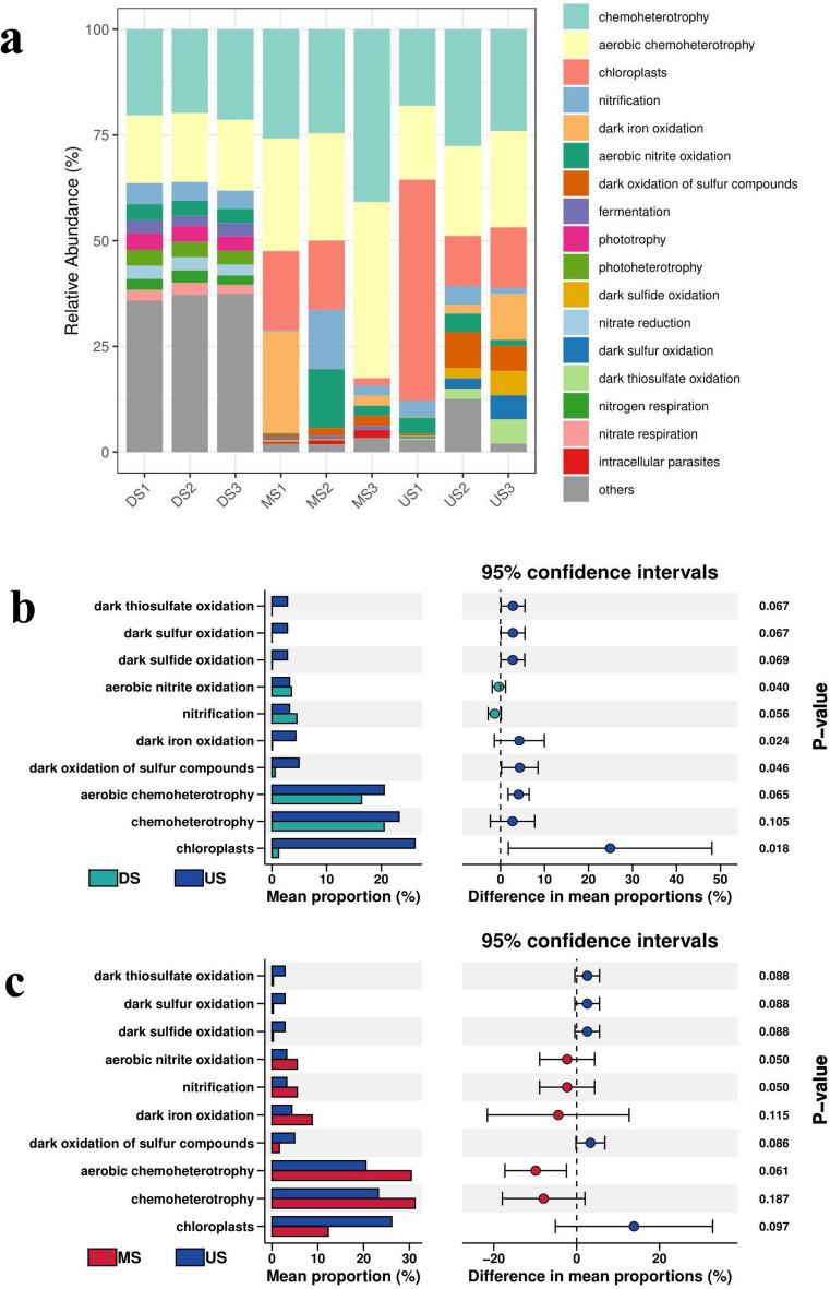 https://cdn.ncbi.nlm.nih.gov/pmc/blobs/5751/12218272/346975ddd1e3/41598_2025_5799_Fig6_HTML.jpg