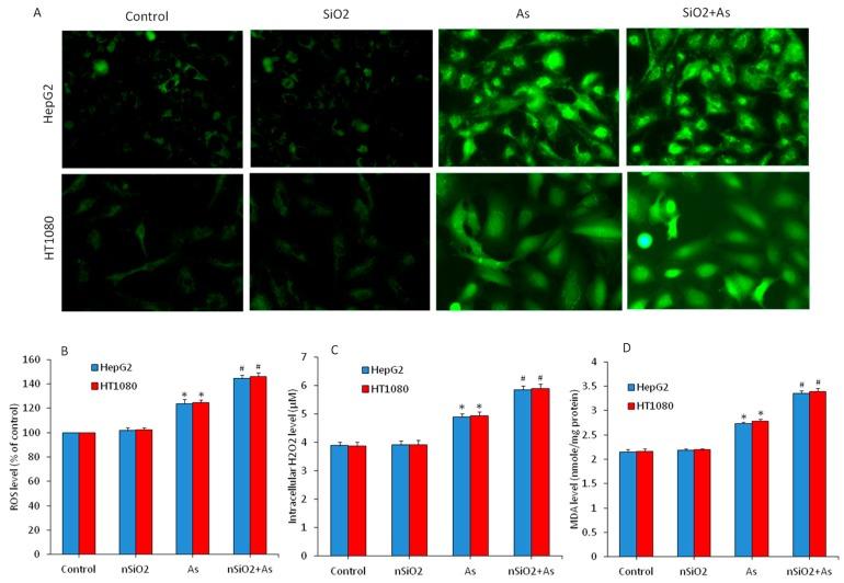 https://cdn.ncbi.nlm.nih.gov/pmc/blobs/5753/6747183/30f49f67e82c/ijerph-16-03199-g003.jpg