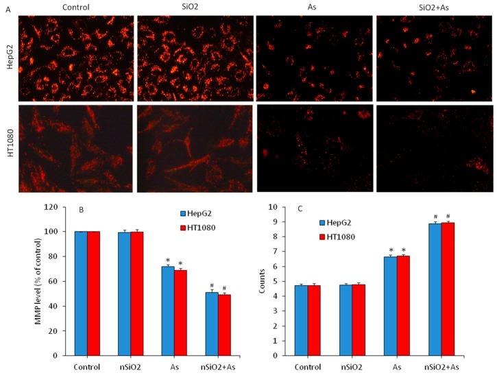 https://cdn.ncbi.nlm.nih.gov/pmc/blobs/5753/6747183/476785fa24c3/ijerph-16-03199-g006.jpg