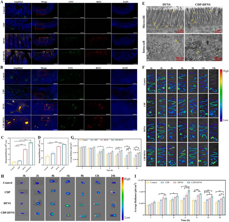 https://cdn.ncbi.nlm.nih.gov/pmc/blobs/5754/12171821/df4957d6980c/gr4.jpg