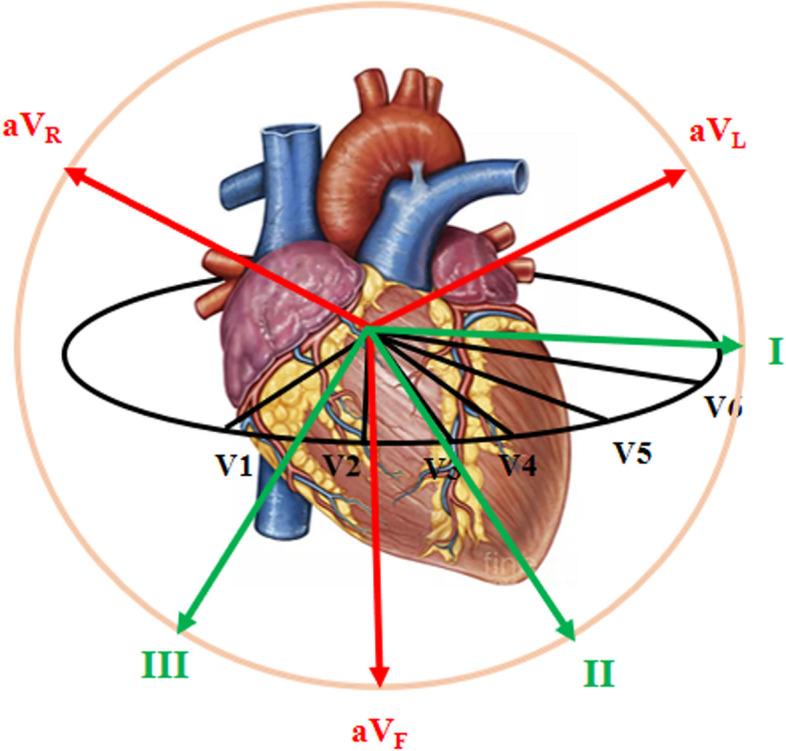 https://cdn.ncbi.nlm.nih.gov/pmc/blobs/5755/11055258/239b90b98aa8/12874_2024_2223_Fig3_HTML.jpg