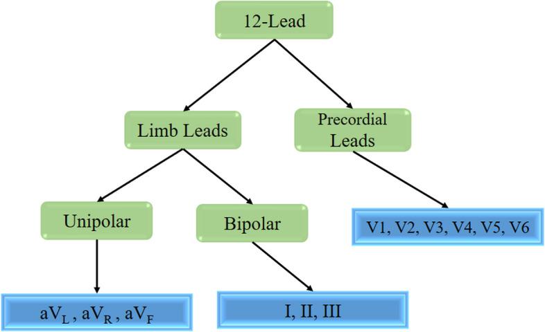 https://cdn.ncbi.nlm.nih.gov/pmc/blobs/5755/11055258/361e3065cf91/12874_2024_2223_Fig1_HTML.jpg