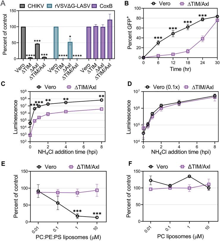 https://cdn.ncbi.nlm.nih.gov/pmc/blobs/5755/9895848/c5252aeca6c6/fcell-11-1085913-g004.jpg