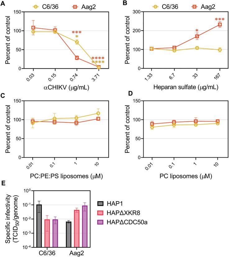 https://cdn.ncbi.nlm.nih.gov/pmc/blobs/5755/9895848/decebf0236e7/fcell-11-1085913-g006.jpg