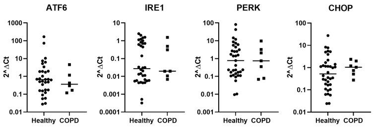 https://cdn.ncbi.nlm.nih.gov/pmc/blobs/5756/11203587/e757328b4be9/ijms-25-06600-g001.jpg
