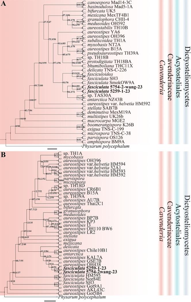 https://cdn.ncbi.nlm.nih.gov/pmc/blobs/5756/9620775/c0a5dbee6d6c/spectrum.02402-22-f005.jpg