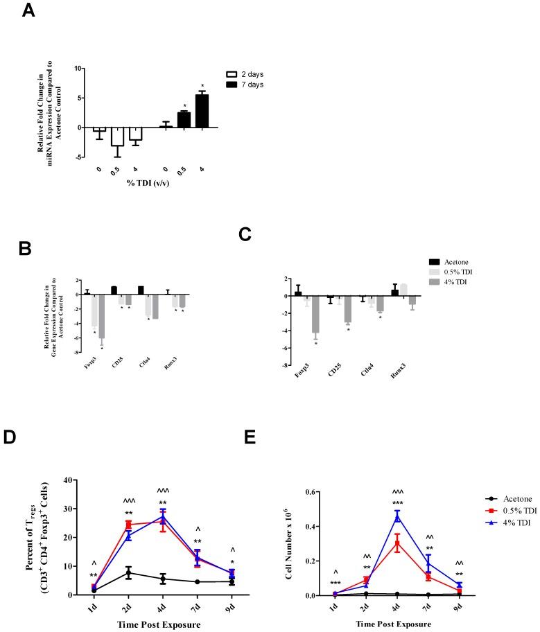 https://cdn.ncbi.nlm.nih.gov/pmc/blobs/5758/5295004/99f2c71e7d3a/genes-08-00009-g004.jpg