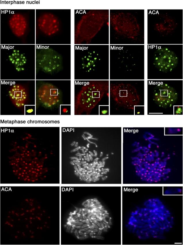 https://cdn.ncbi.nlm.nih.gov/pmc/blobs/5759/2172221/3509568a5b52/200403109f3.jpg
