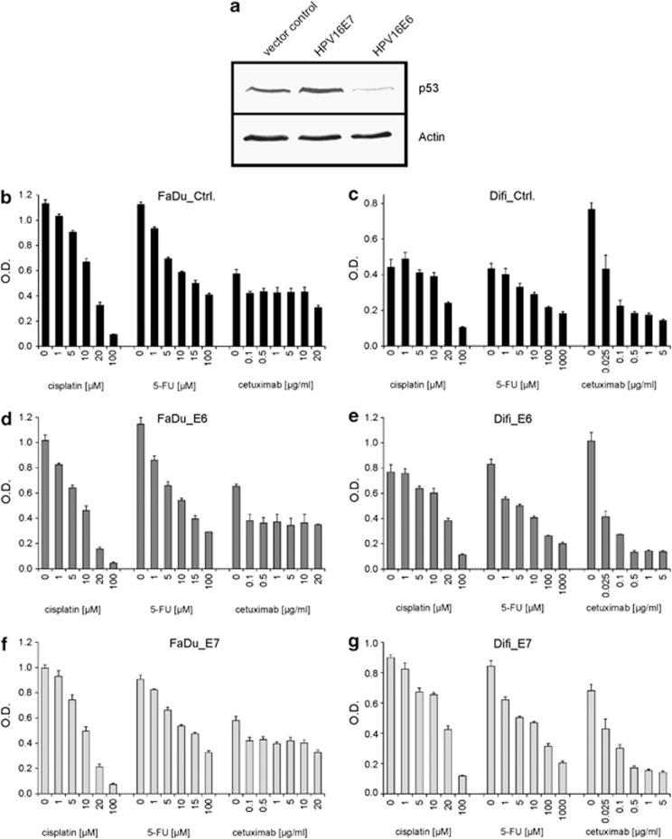 https://cdn.ncbi.nlm.nih.gov/pmc/blobs/5759/3944273/83066e1bf9ae/cddis201462f3.jpg