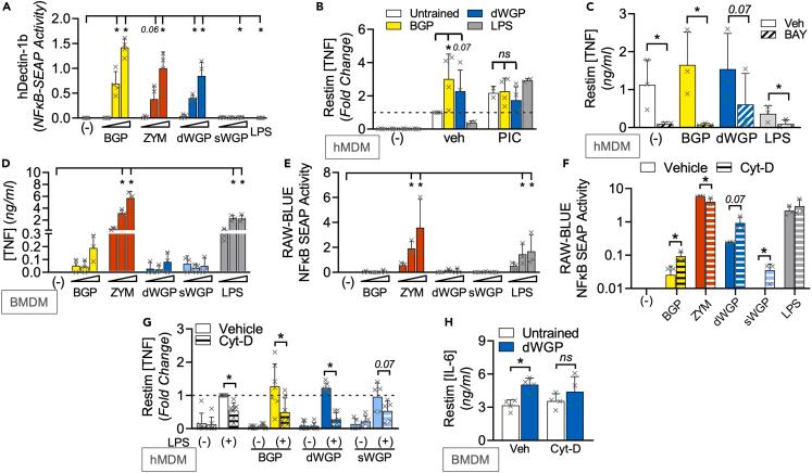 https://cdn.ncbi.nlm.nih.gov/pmc/blobs/575a/10865028/9c022471bf01/gr2.jpg