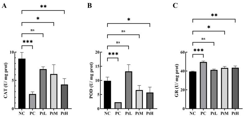 https://cdn.ncbi.nlm.nih.gov/pmc/blobs/575a/11173099/573092e6f6c7/ijms-25-05939-g006.jpg