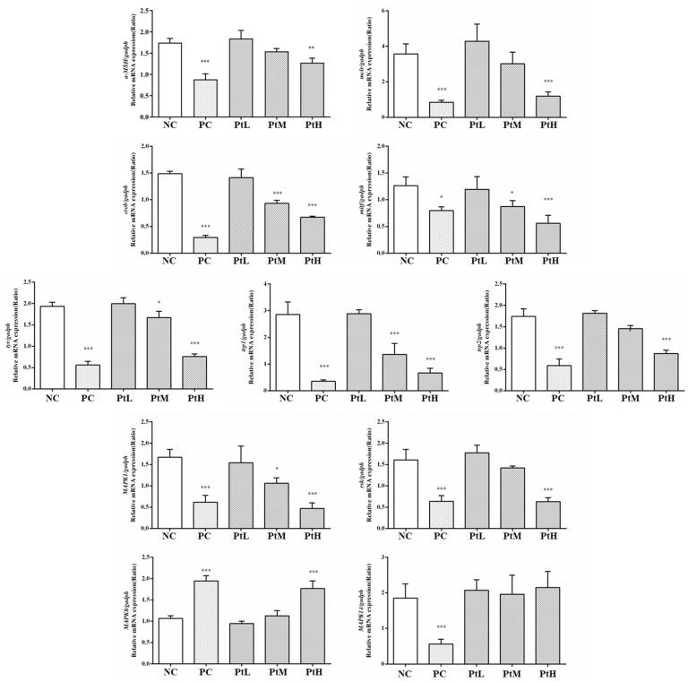 https://cdn.ncbi.nlm.nih.gov/pmc/blobs/575a/11173099/65348b69f259/ijms-25-05939-g011.jpg