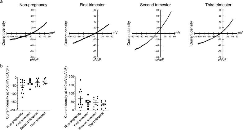 https://cdn.ncbi.nlm.nih.gov/pmc/blobs/575c/9130036/189308663a04/expanim-71-123-g002.jpg